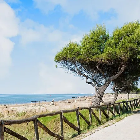 Apartment Family Comfort Just 300mt From The *