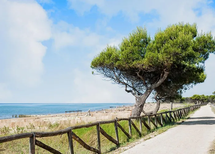 Apartment Family Comfort Just 300mt From The *